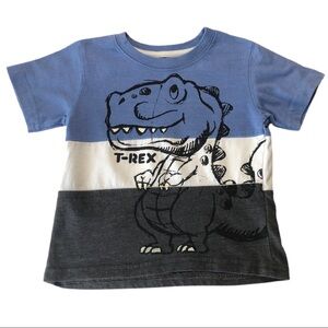 Little Rebels T-Rex Color Block Tee